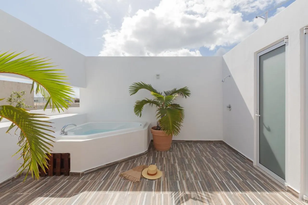 Exquisite Penthouse With Jacuzzi And Private Terrace Lejlighed Playa del Carmen 0*,  Mexico